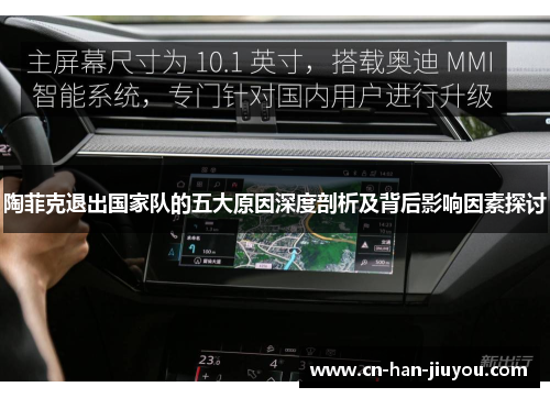 陶菲克退出国家队的五大原因深度剖析及背后影响因素探讨