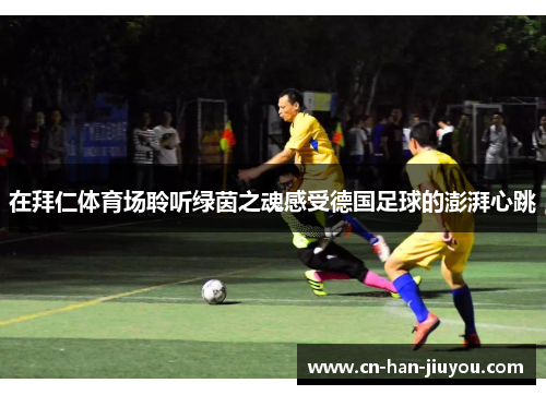 在拜仁体育场聆听绿茵之魂感受德国足球的澎湃心跳