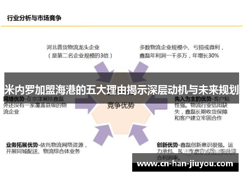 米内罗加盟海港的五大理由揭示深层动机与未来规划